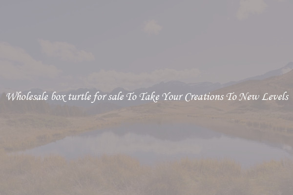 Wholesale box turtle for sale To Take Your Creations To New Levels
