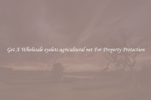 Get A Wholesale eyelets agricultural net For Property Protection