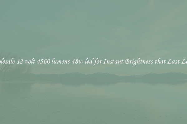 Wholesale 12 volt 4560 lumens 48w led for Instant Brightness that Last Longer