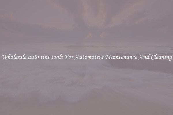 Wholesale auto tint tools For Automotive Maintenance And Cleaning