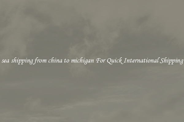 sea shipping from china to michigan For Quick International Shipping