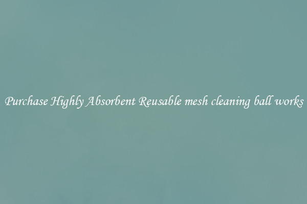 Purchase Highly Absorbent Reusable mesh cleaning ball works