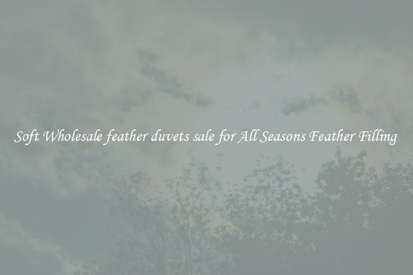 Soft Wholesale feather duvets sale for All Seasons Feather Filling 