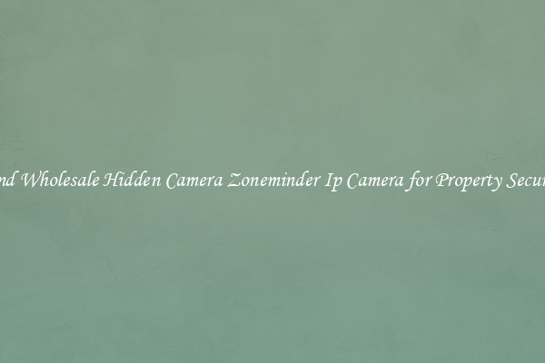 Find Wholesale Hidden Camera Zoneminder Ip Camera for Property Security