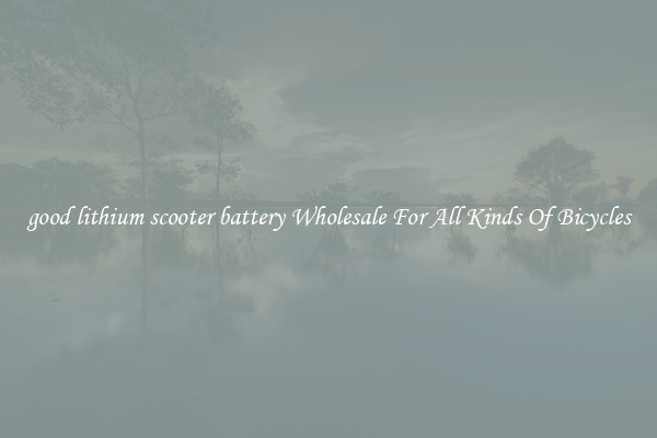 good lithium scooter battery Wholesale For All Kinds Of Bicycles