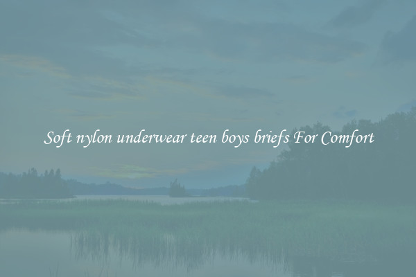 Soft nylon underwear teen boys briefs For Comfort