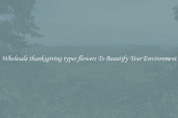 Wholesale thanksgiving types flowers To Beautify Your Environment