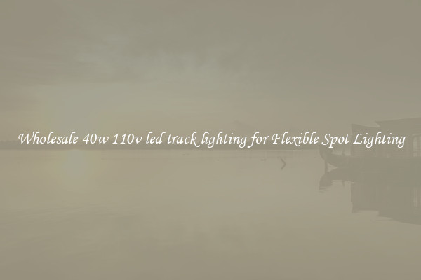 Wholesale 40w 110v led track lighting for Flexible Spot Lighting