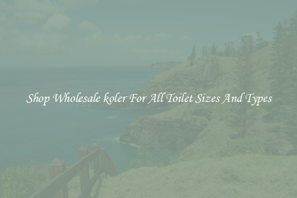 Shop Wholesale koler For All Toilet Sizes And Types
