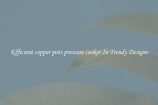 Efficient copper pots pressure cooker In Trendy Designs