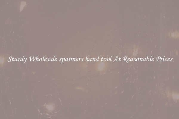 Sturdy Wholesale spanners hand tool At Reasonable Prices