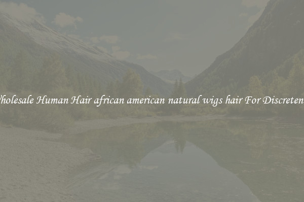 Wholesale Human Hair african american natural wigs hair For Discreteness