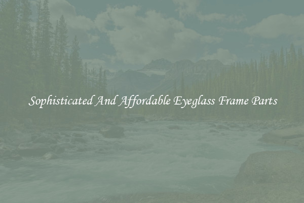 Sophisticated And Affordable Eyeglass Frame Parts