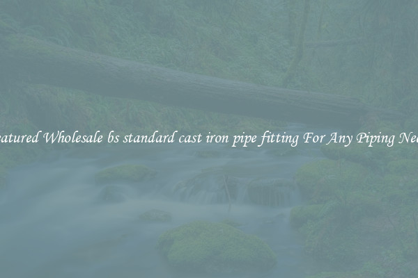 Featured Wholesale bs standard cast iron pipe fitting For Any Piping Needs
