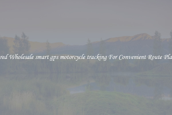 Featured Wholesale smart gps motorcycle tracking For Convenient Route Planning 