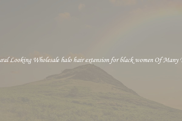 Natural Looking Wholesale halo hair extension for black women Of Many Types