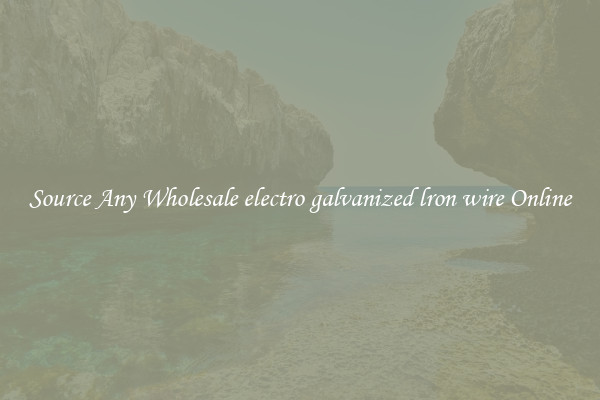 Source Any Wholesale electro galvanized lron wire Online