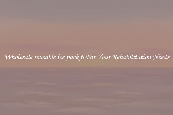 Wholesale reusable ice pack 6 For Your Rehabilitation Needs