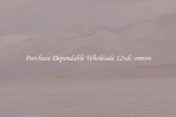 Purchase Dependable Wholesale 12vdc omron