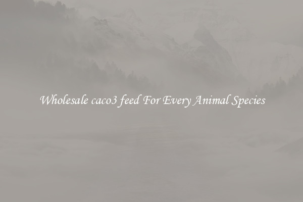 Wholesale caco3 feed For Every Animal Species