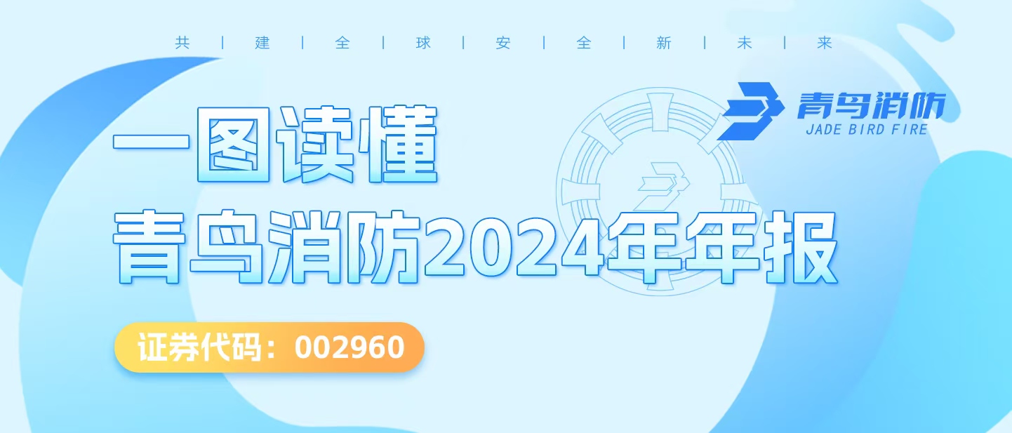 一图读懂bevictor伟德2024年年报
